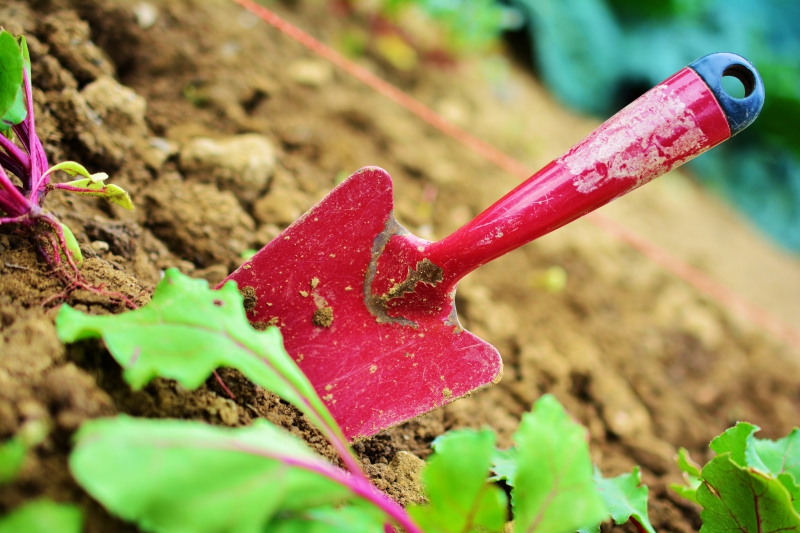 sasu-ANTIBES-min_gardening-2448134